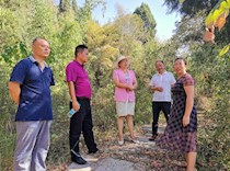 区政协副主席薛燕到智凤街道督导工作