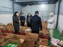 区政协副主席薛燕到智凤街道调研工作