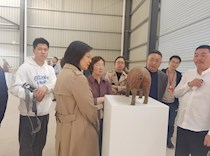 荣昌区政协来足考察