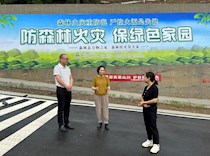 区政协副主席唐华俪检查森林防火工作