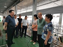 大足区政协督办重点提案